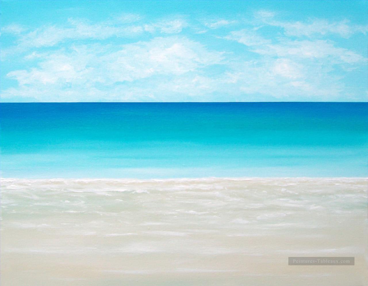 résumé paysage marin 039 Peintures à l'huile